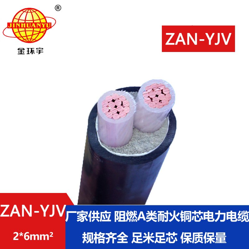 金環(huán)宇電線電纜 ZAN-YJV 2X6平方 阻燃yjv電纜 深圳耐